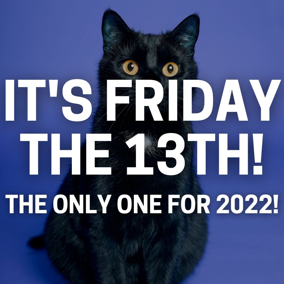 FOX8NOLA's tweet photo. Be careful out there, y'all! 👻🐈‍⬛ https://t.co/7lJN7BDa52
