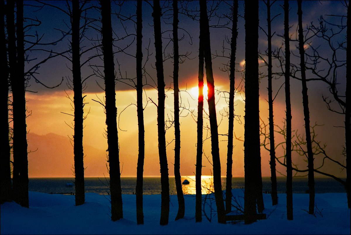 Whether you’re watching from your window or going for a walk, we hope you enjoy a bit of nature’s wonder today. 

📸 Steve Raymer