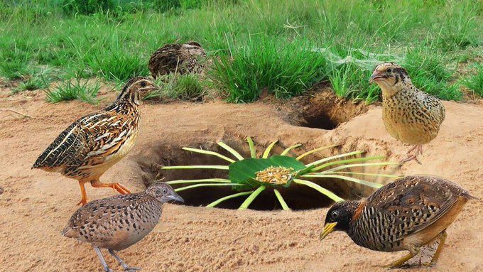 TraderSZ (@trader1sz) on Twitter photo 