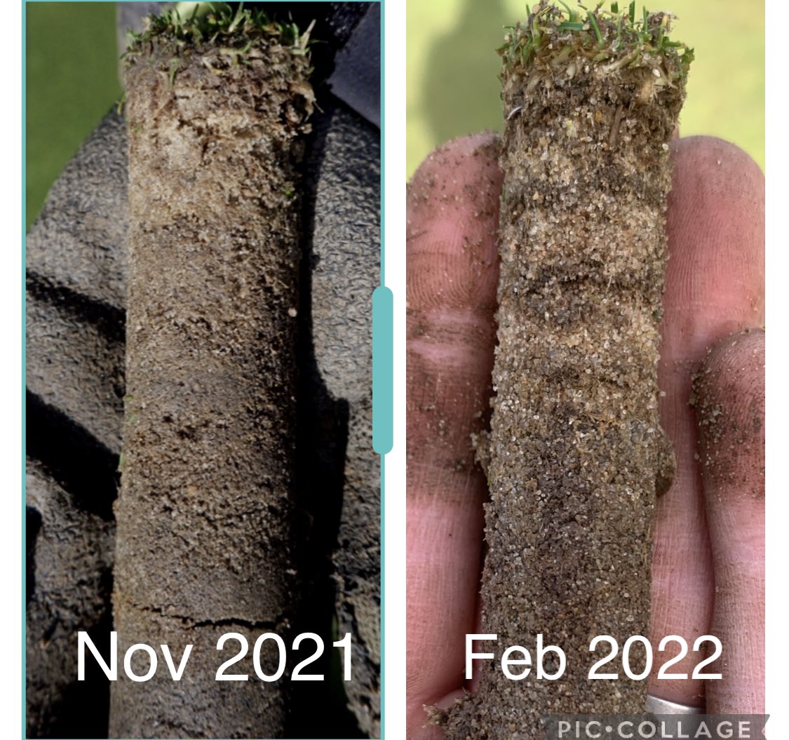 craigrodwell's tweet photo. It’s still amazing what you can do with @EuropeMakro Oxyturf and @SoilBiologyLtd microbes, bio stimulants and SB Flex Foliar feeds. @lukejenkins #NoSaltOrHeavyMetals https://t.co/K5jC454KqQ