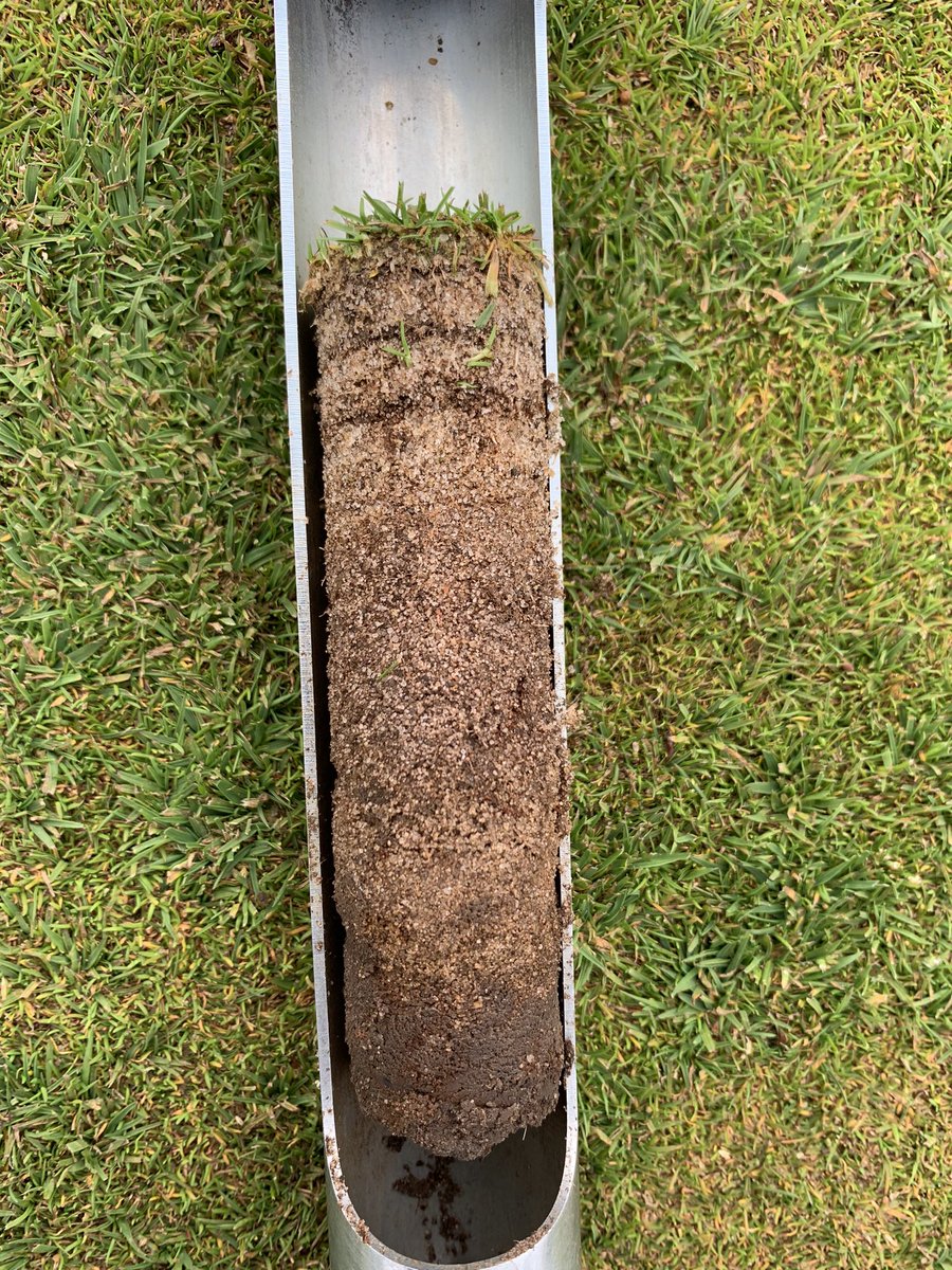 craigrodwell's tweet photo. It’s still amazing what you can do with @EuropeMakro Oxyturf and @SoilBiologyLtd microbes, bio stimulants and SB Flex Foliar feeds. @lukejenkins #NoSaltOrHeavyMetals https://t.co/K5jC454KqQ