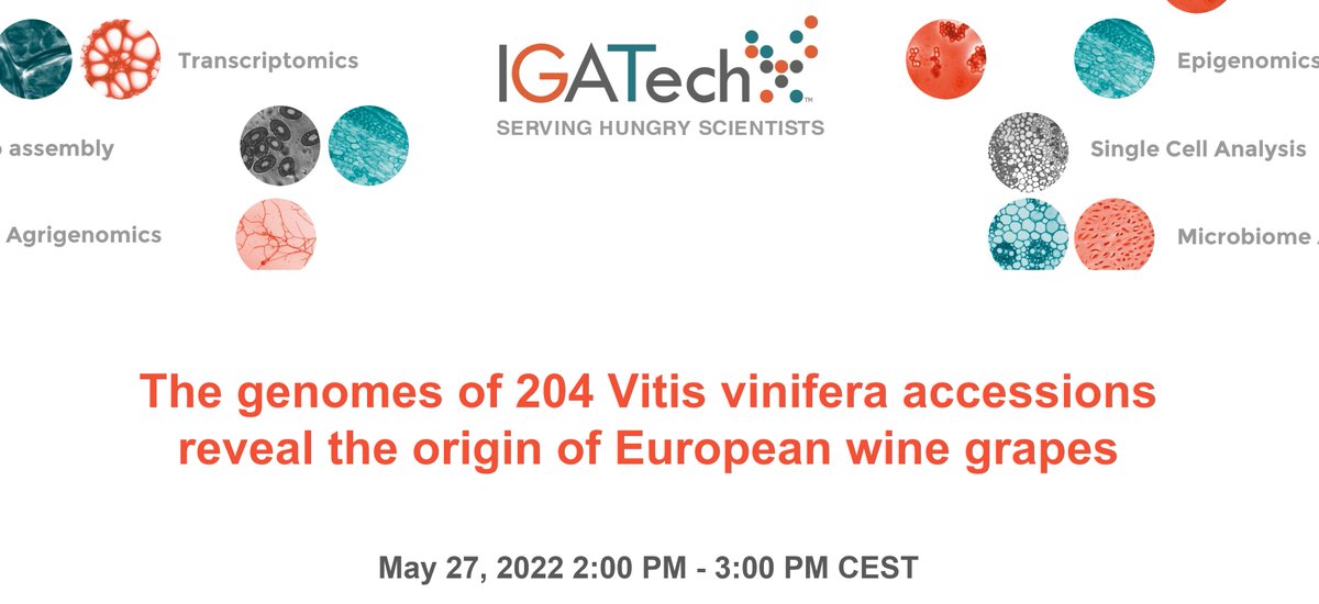 IGATechnology's tweet image. Two weeks to the live session of IGATech webinar!
May 27, 2022 2:00 PM - 3:00 PM CEST
Register at bit.ly/3LyinYt
#genomics #agrigenomics #SNPDetection