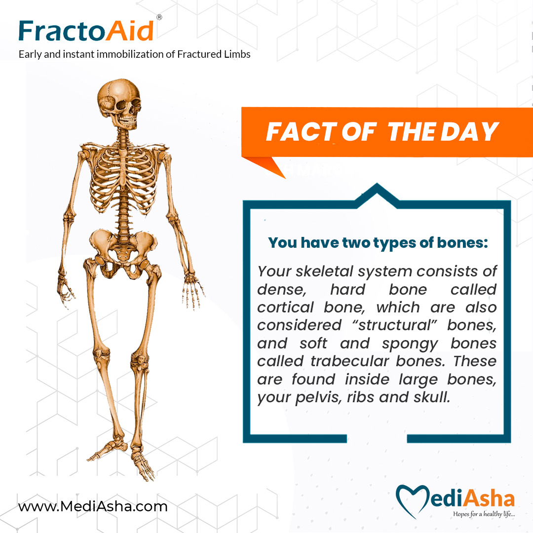 Fact of the week💡
You might think of bone as a hard, solid material, but only one type of bone is like this. Trabecular bone, on the other hand, is soft and spongy.

#factsfriday #facts #fridayfacts #bonefacts #bone #mediasha #fractoaid #fracture