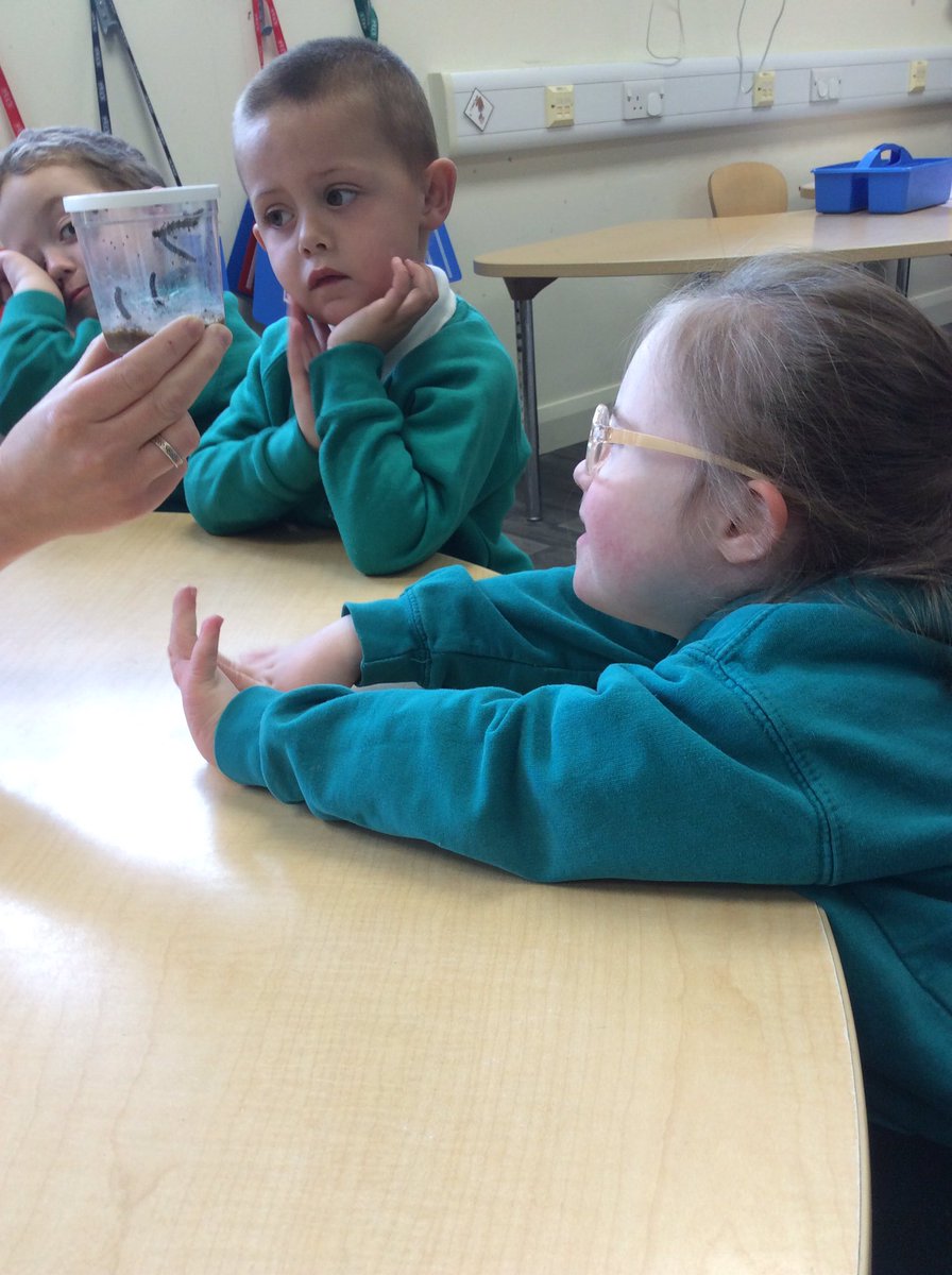 OVPSclass6 tweet media