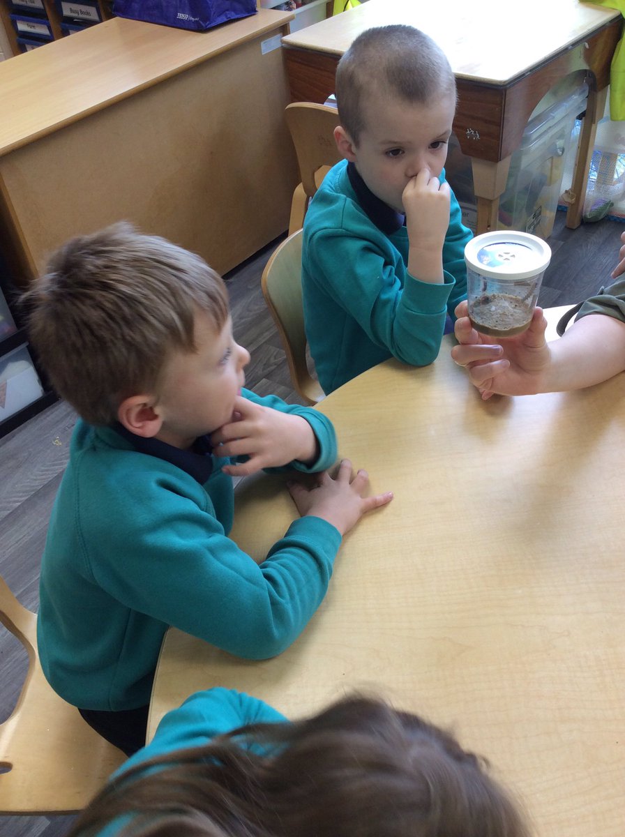 OVPSclass6 tweet media