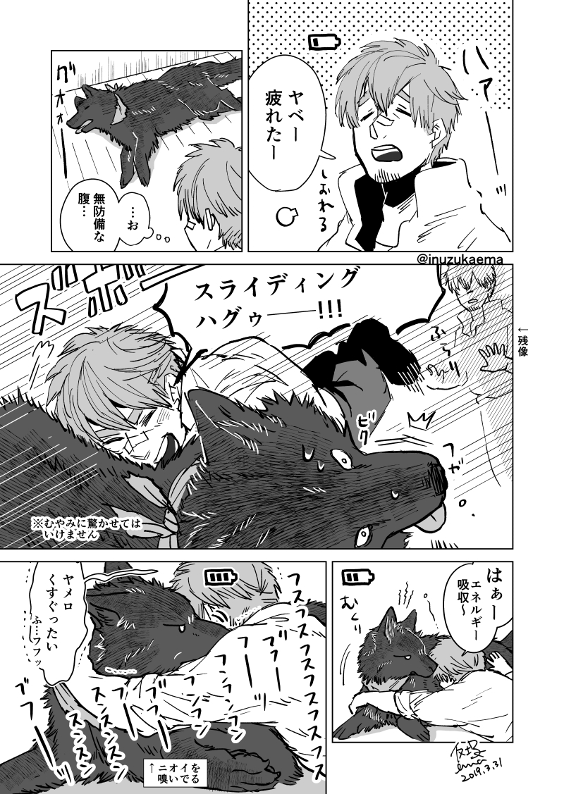 #愛犬の日 ですね🐶 