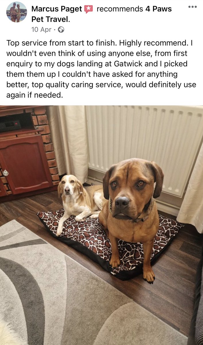 Customer review always make us happy.
We always strive to be the best, we don’t make claims we are, we just do our job 😄