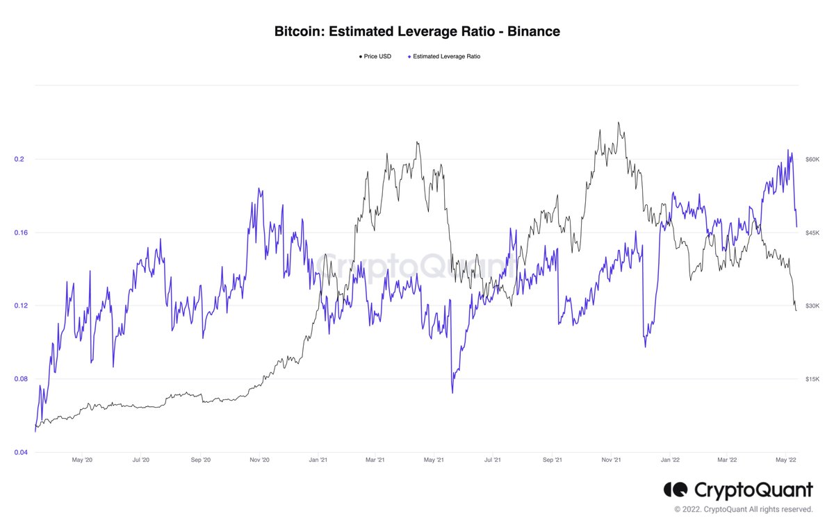 little trader tweet media