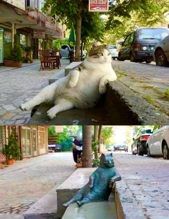 A statue in Istanbul to honor Tombili, a famous stray cat. He used to sit in this position and watch passers-by.