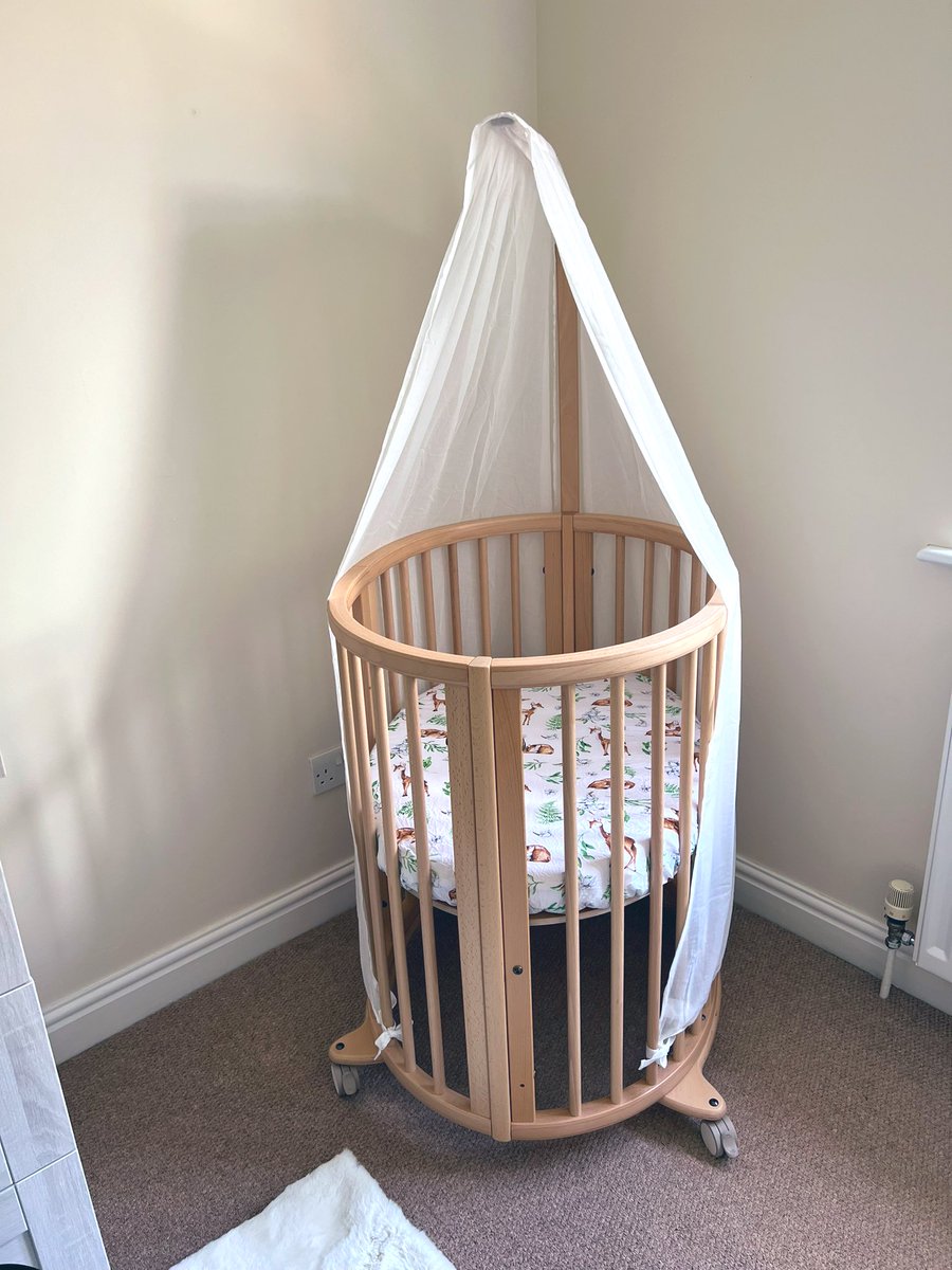 Rachybop 👩🍼 tweet media