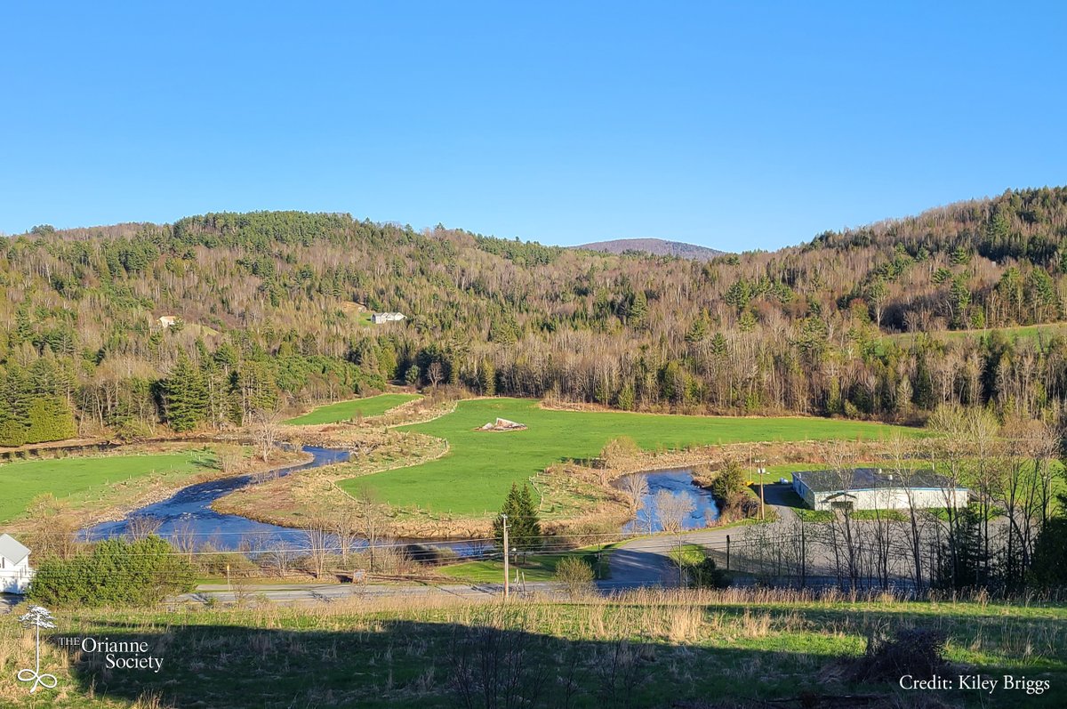 OrianneSociety's tweet photo. While scouting a site for an upcoming vernal pool workshop, Kiley spotted this great example of a #riparianbuffer. These buffers, which are strips of land between rivers and farm fields, are vital to the survival of Wood Turtles in working landscapes, and the bigger, the better. https://t.co/wiZp9DSNxR