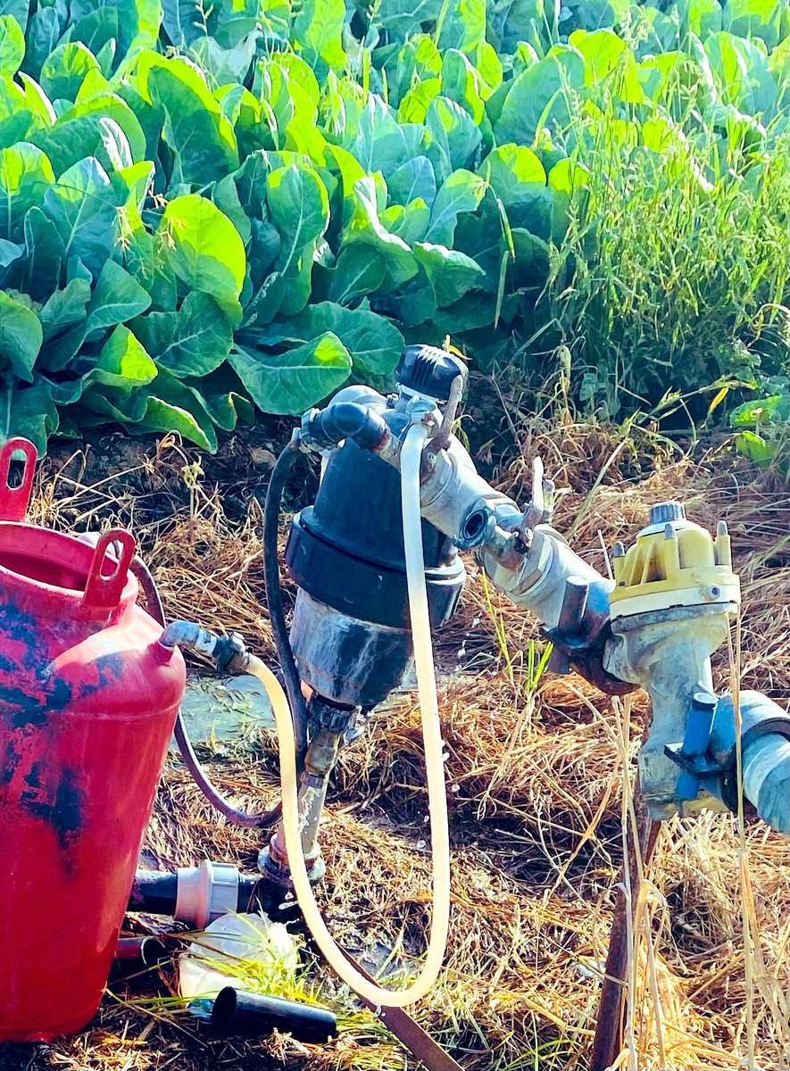 ShambaTech's tweet photo. 💧DRIP IRRIGATION SYSTEMS 🌱
HEAD CONTROL UNIT 
Sehemu ya kwanza kabisa kwenye system inayopokea maji kutoka kwenye chanzo. 
Inajumuisha vitu vingi kama
1. Air valve
2. Gate valves
3. Filter
4. Fertilizer tank
5. Automatic Shutt-Off valve n.k
Kwa leo tugusie vitu vitatu 👇🏼 https://t.co/UueJX7wW8X