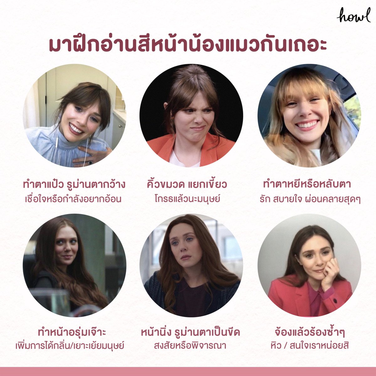 ampnty's tweet image. ทุกคนมาดูแงวน้องลิซ 😻