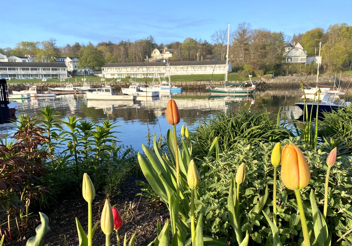 rick03907's tweet photo. Friday morning in the cove #ogunquit #maine #sunrise โฆ@StormHourโฉ https://t.co/s0PBijnM9A