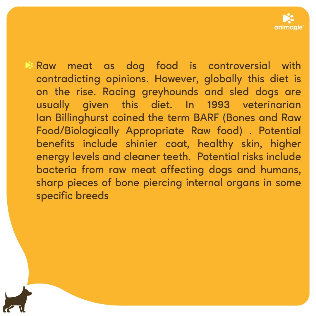 Animagie_offl's tweet photo. Striving to create a community of pet lovers worldwide! Here we present the dog feeding basics for beginners. #animagie #getsetpet #pets #petscommunity #dogs #dogfeed #petlovers https://t.co/vSKvybWmxL