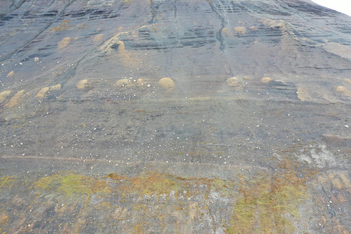 #DOM of the day - Introducing the #Janusfjellet digital model!

Interact with the #Svalbox model here: svalbox.no/?page_id=4172 

 #DigitalGeology #Arctic #Svalbard