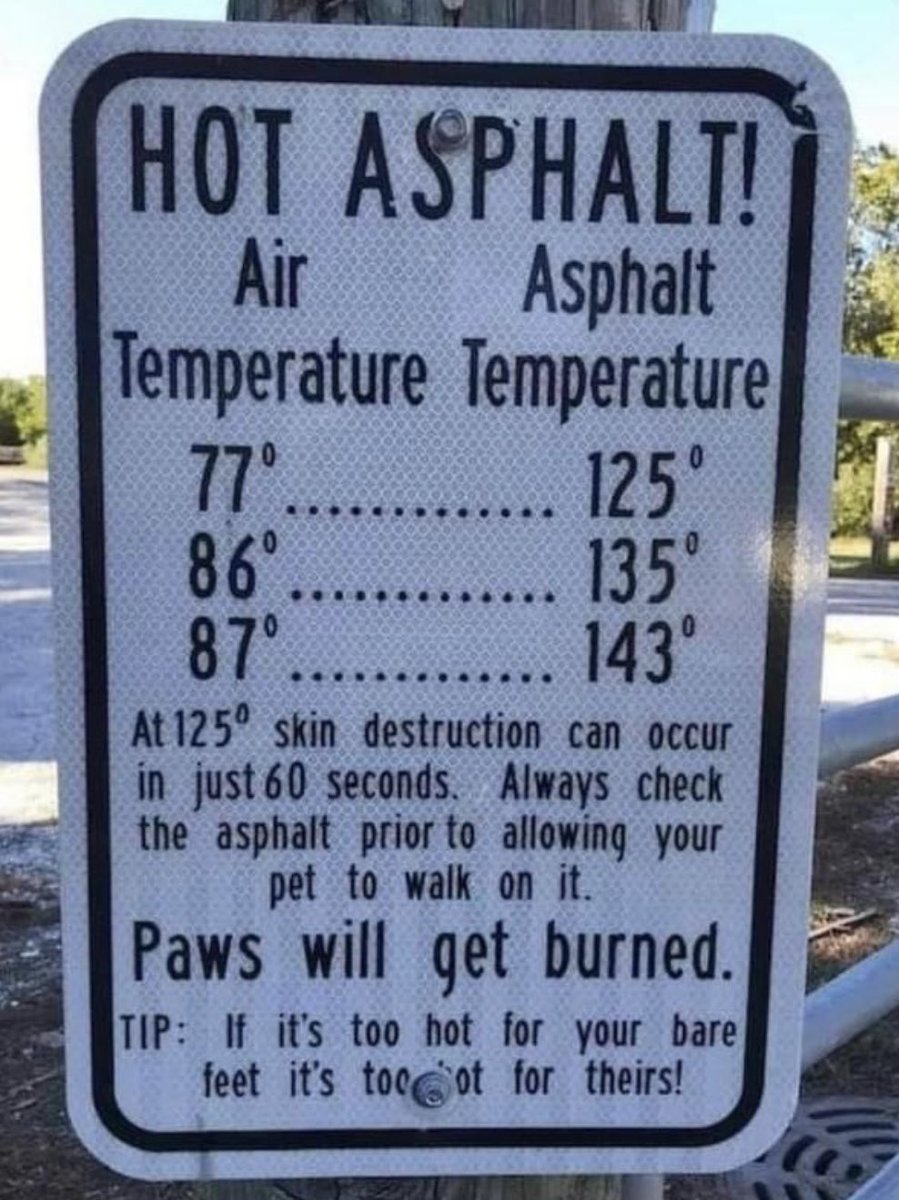 CMichaelGibson's tweet image. If it’s above 77 degrees Fahrenheit your dogs paws can get burned on the asphalt #pawful