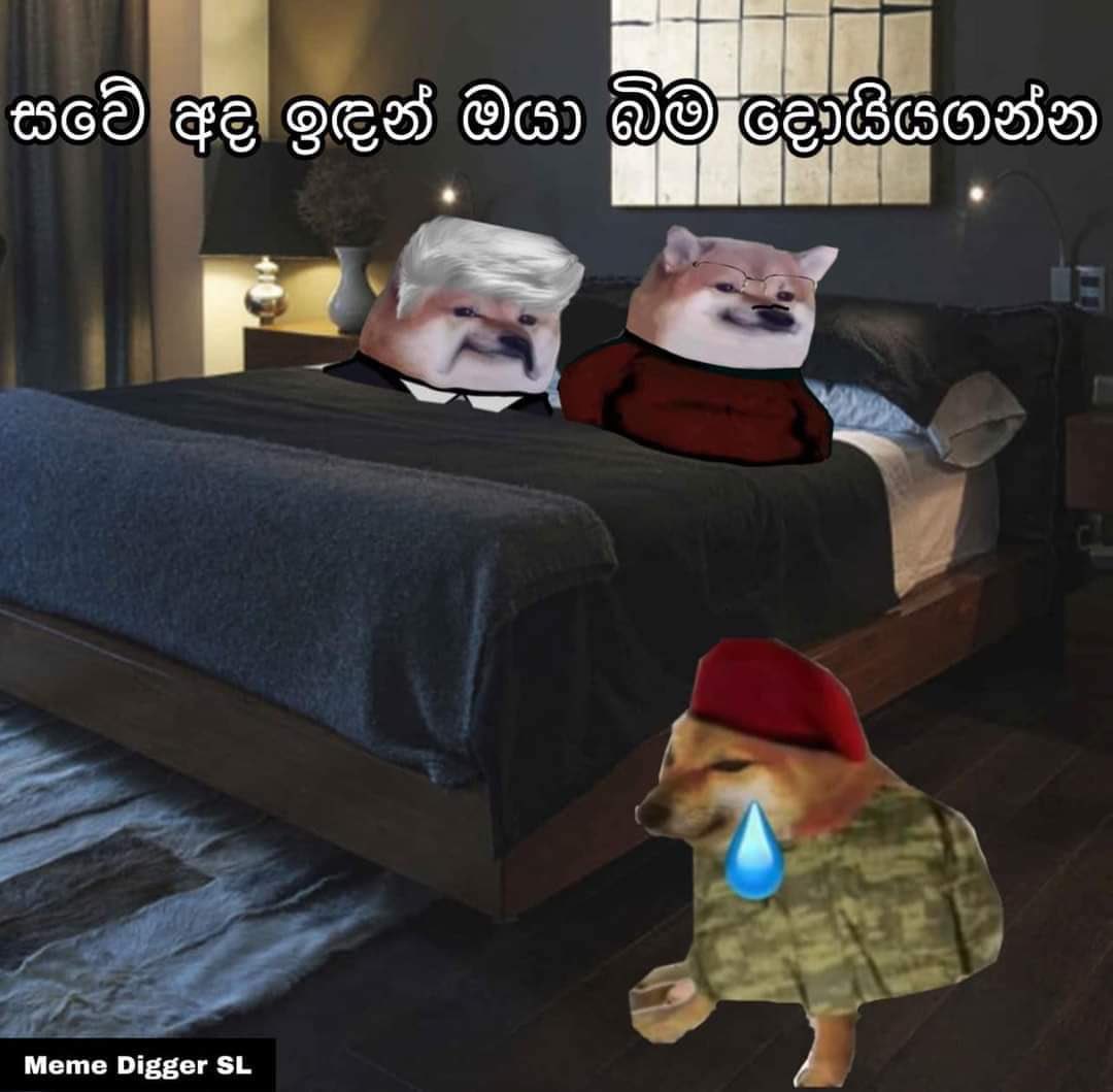 KaviSenu's tweet photo. සවේ left 🤦‍♂️🤦‍♂️ https://t.co/LdGZ13cK2D