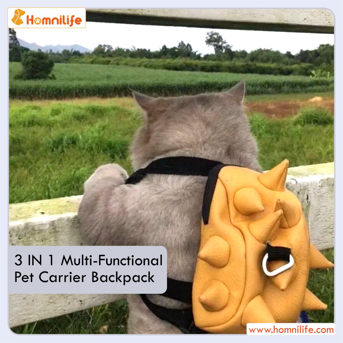 Homnilife_US's tweet photo. Why do humans have all the fun always?

A cat pet can be a #better #partner when it comes to #traveling a #place, I mean only a stupid will lose the #moment to go on a #trip with their #bestfriend.
Gift them a 3 IN 1 #MultiFunctional #petcarrier #backpack. 

 #catbagpack #catlove https://t.co/kiZxV289J3