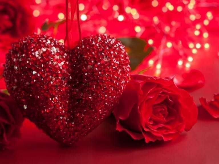 Sweet_reading45's tweet photo. Happy weekend for all https://t.co/COpW8JG0fU