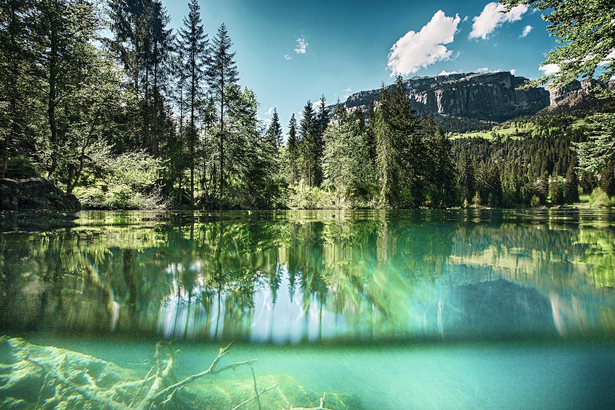 Mice Magazine tweet media