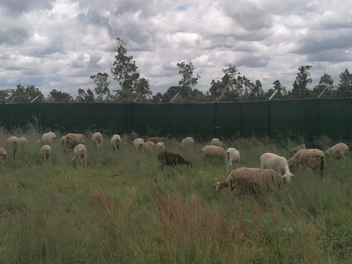 EcologyAgro's tweet photo. Work https://t.co/WpQhK5T39J