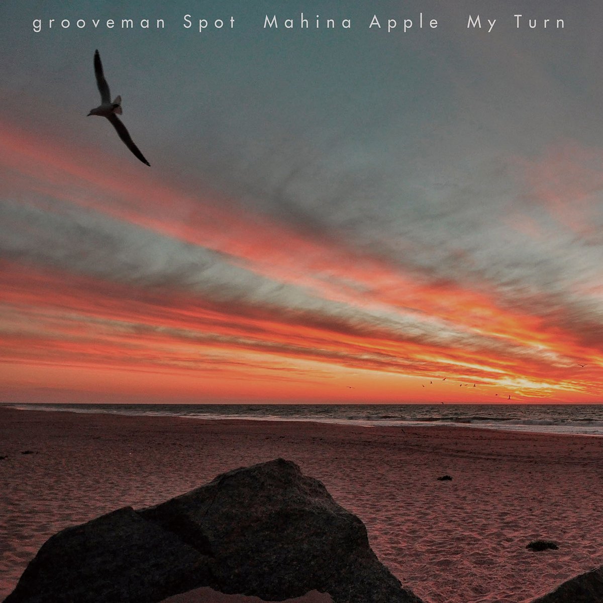 STEREORECORDS's tweet photo. 【予約開始】GROOVEMAN SPOT &amp; MAHINA APPLE / MY TURN

世界のgrooveman SpotとMahina Appleによる名曲が待望のアナログ化！
https://t.co/HoQxfVKUi1 https://t.co/Dxvx0j9lvd