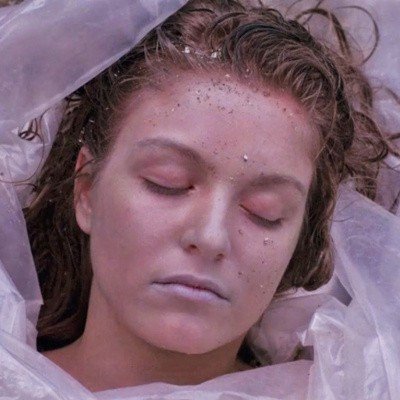 1) Galatea of the Spheres, Salvador Dalì (1952);
2) Laura Palmer Wrapped in Plastic, Twin Peaks, David Lynch and Mark Frost (1990).