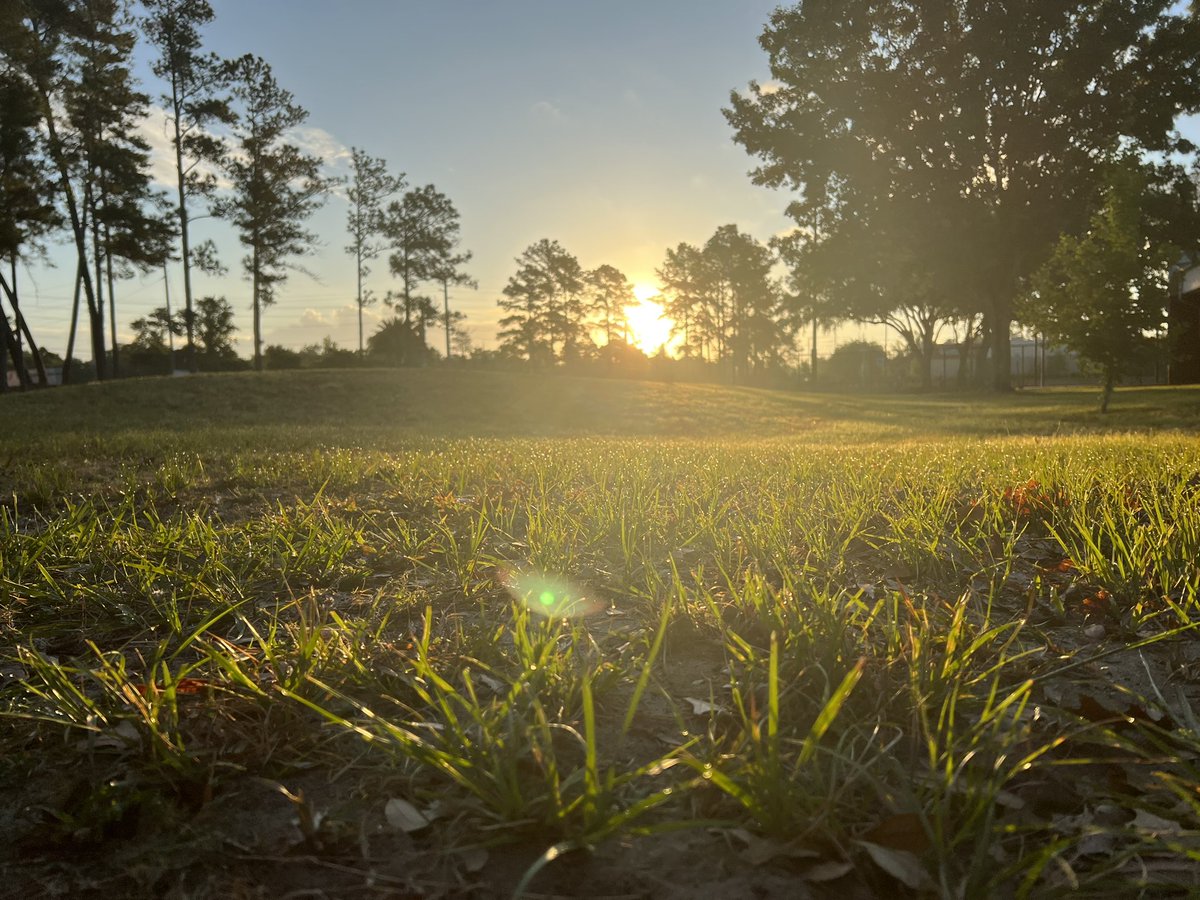 Happy Friday y’all