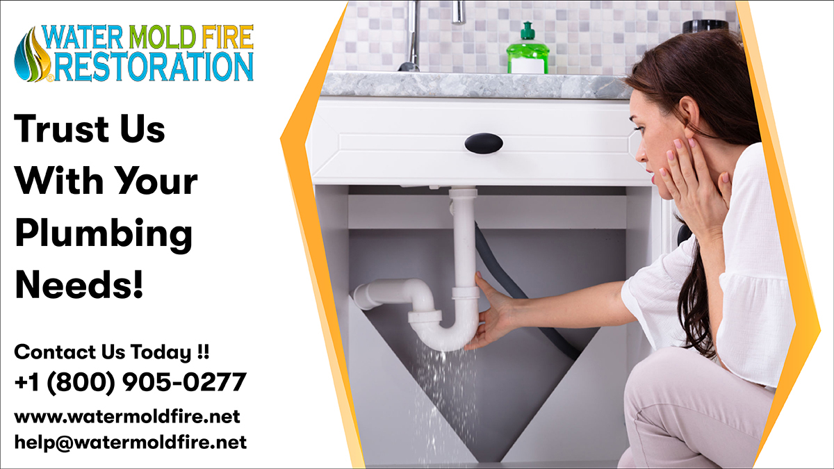 If you are in need of plumbing services, then do not hesitate to contact us. We are here to help you with all of your plumbing needs. Contact us today for all of your plumbing needs.
Call:- 800-905-0277
Mail:- help@watermoldfire.net
Visit:- pos.li/2l8j27
#watermoldfire