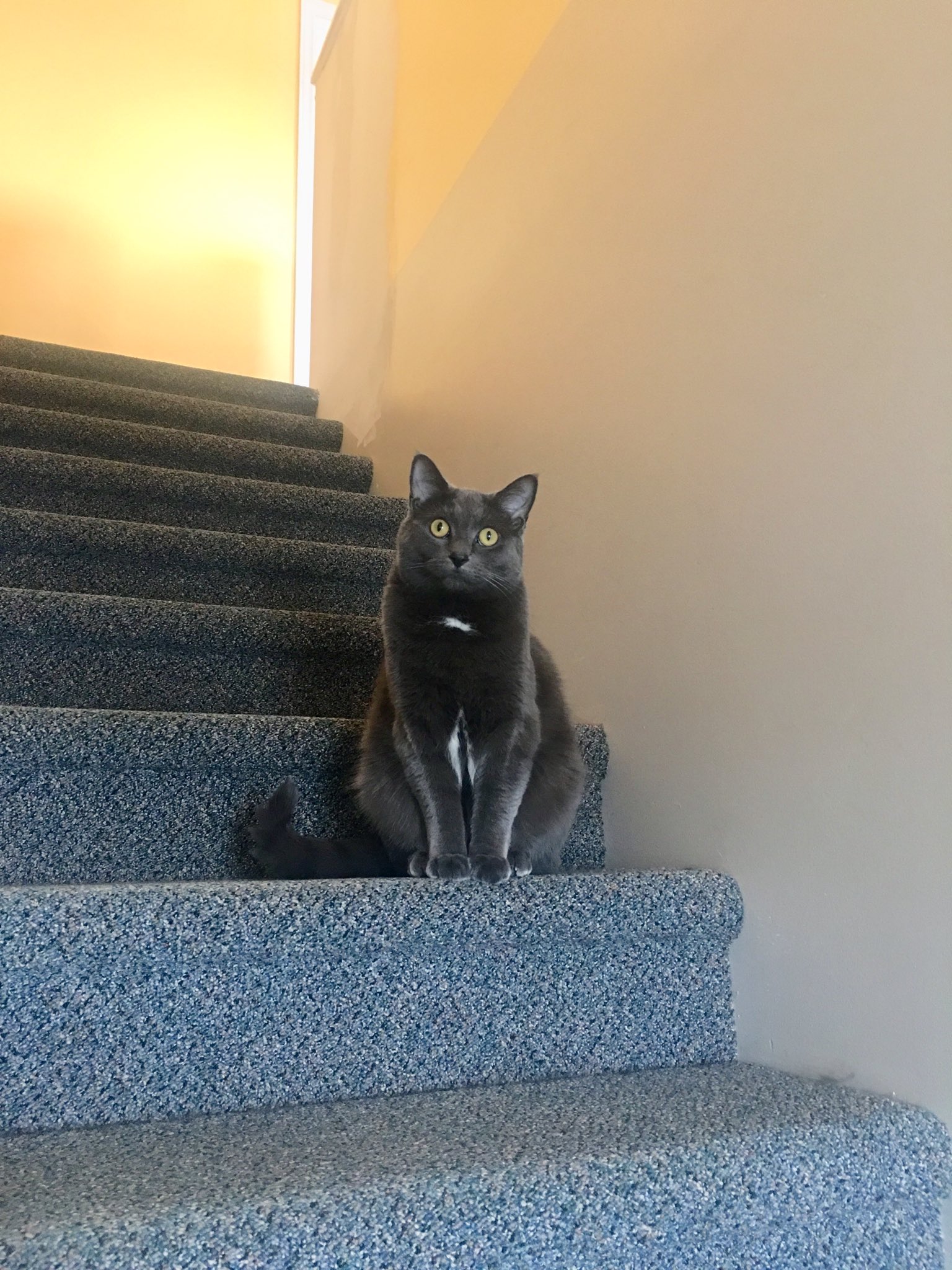 colin and justin (colinjustin) / Twitter