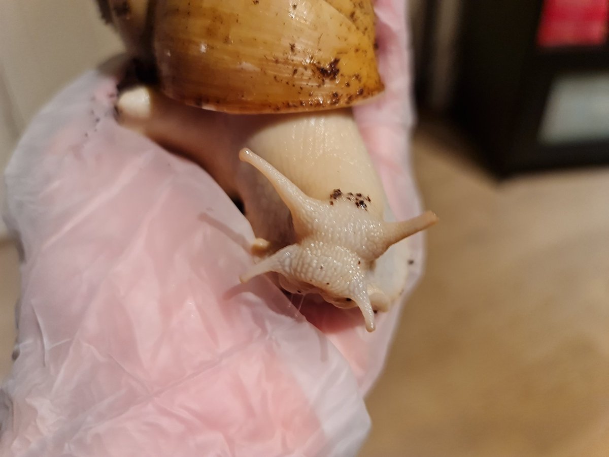 Who doesnt love a puppy