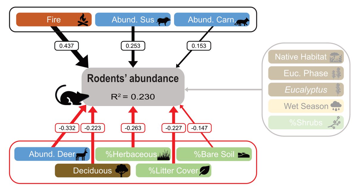 wildlife_unit's tweet photo. 📢 #NewUVSpublication: "Determinants of the relative abundance of rodents in landscapes dominated by Eucalyptus plantations" 🐭
Check the full article here 👉 https://t.co/YmL4jnakGo…
#uvs #wildliferesearchunit #WildForests #rodents #eucalyptus
@CESAM_Univ
@UnivAveiro https://t.co/NlE1l5Ce2O