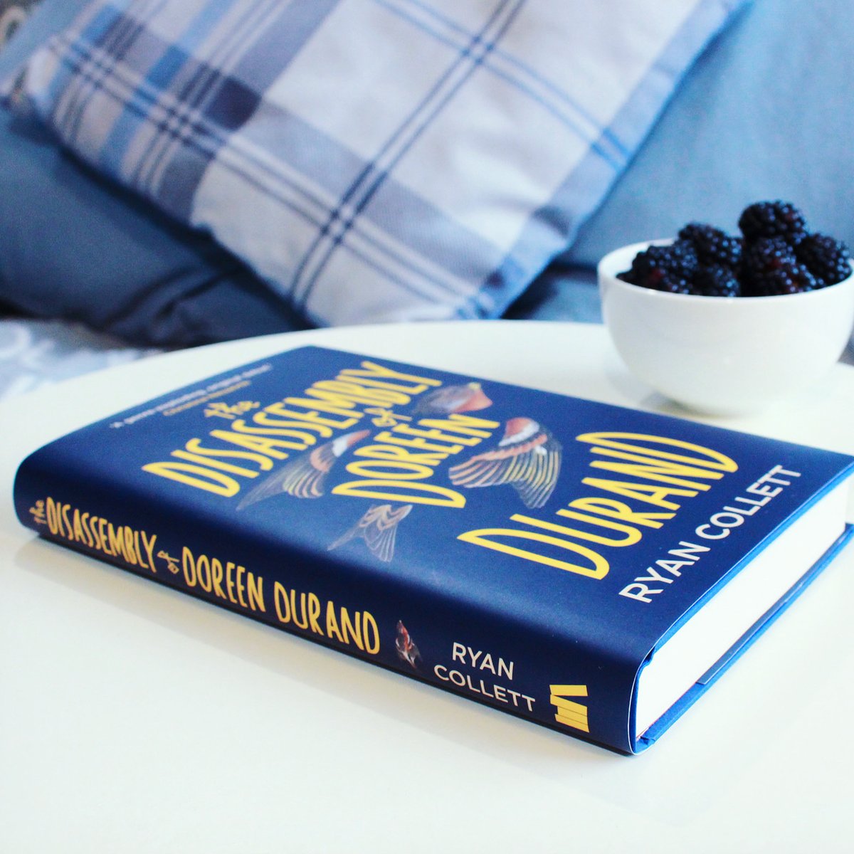 We're celebrating a year of Doreen Durand! If you'd like to win one of three copies of <a href="/RJCollett/">Ryan Collett</a>'s genre-bending debut novel:

📚Make sure you're following us
📚Retweet
📚Tell us where you'd want to travel to if you were swept up by Violet Cascade

UK only, ends 20/05/22.