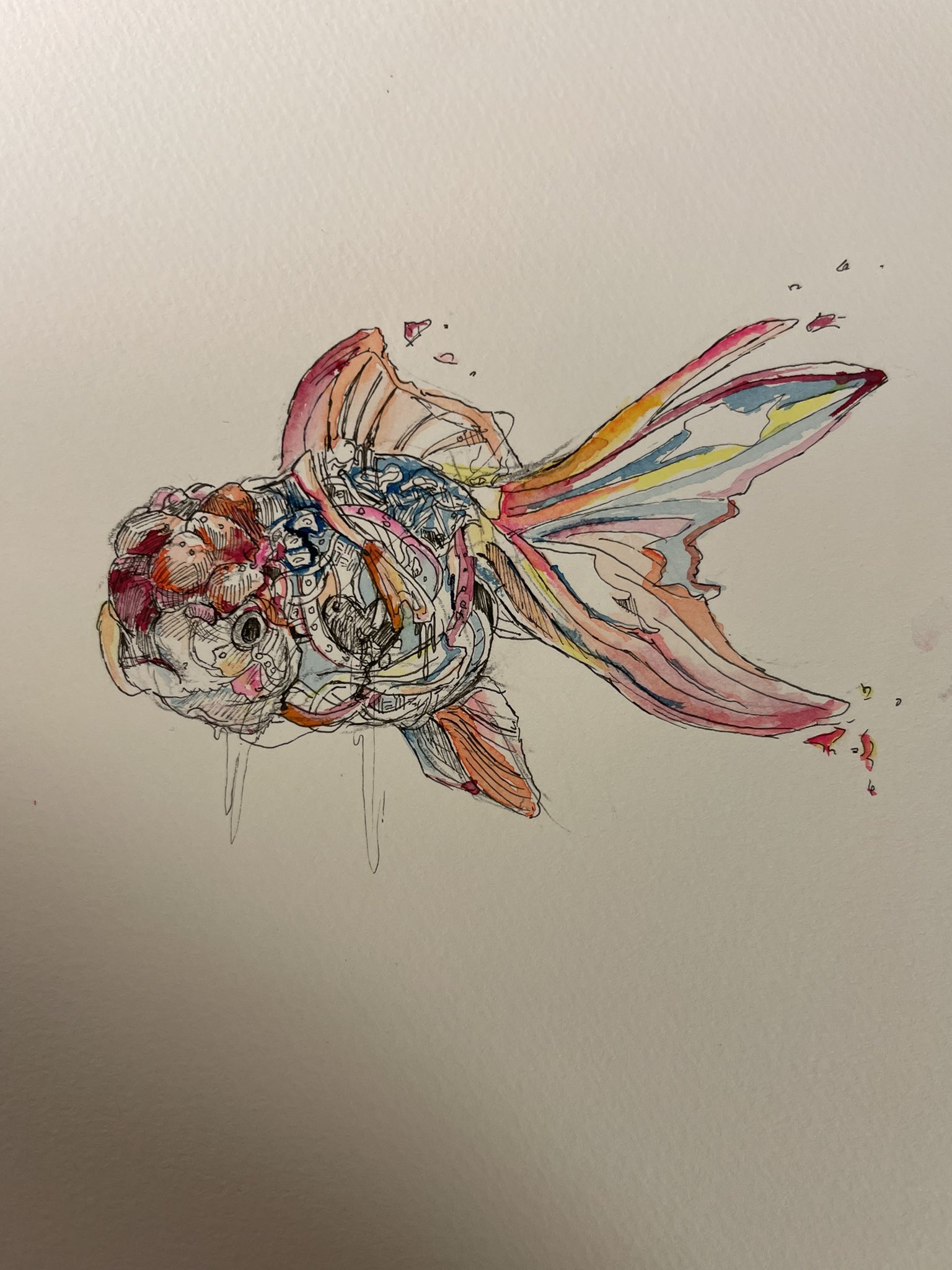 金魚イラスト Twitter Search Twitter