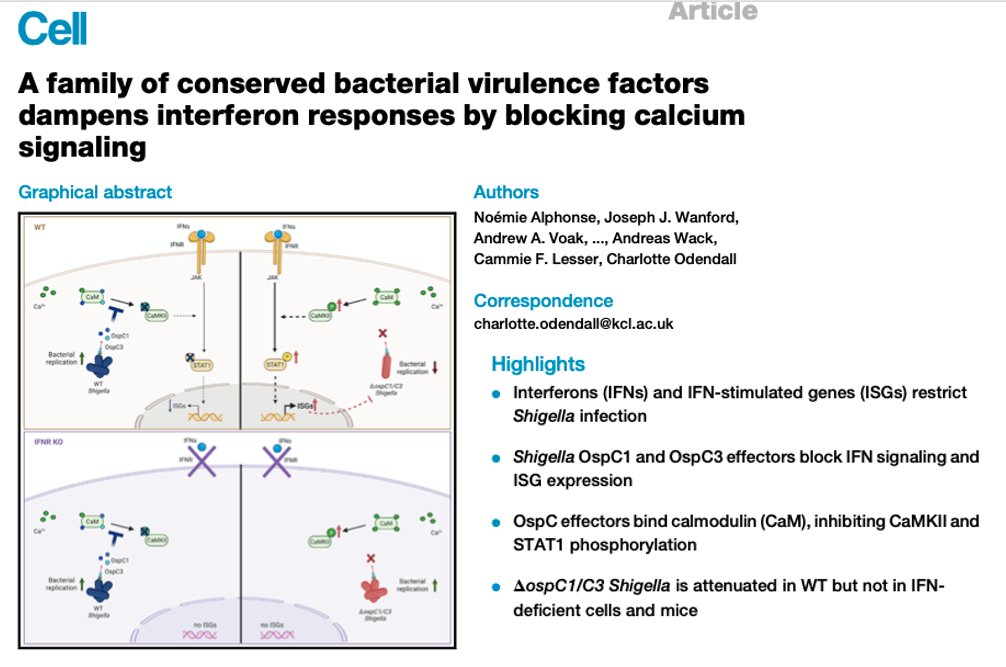 Charlotte Odendall tweet media
