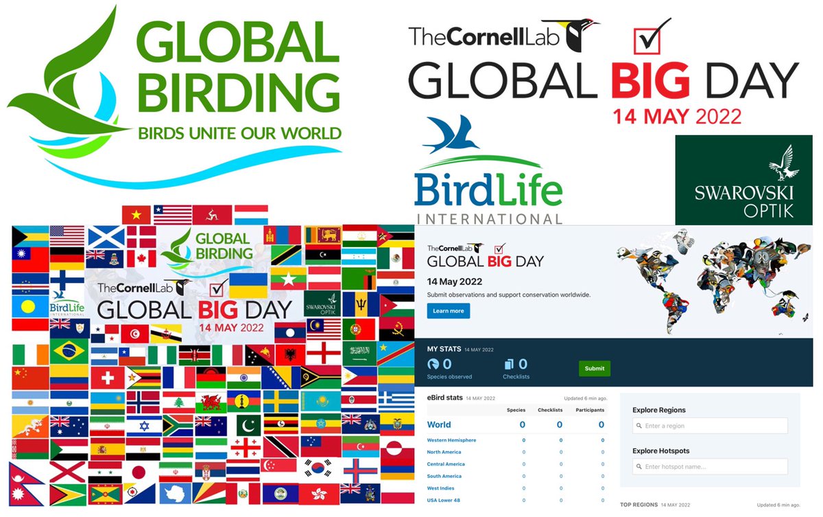 Global Birding (@global_birding) on Twitter photo READY?
Global Big Day 14 May 2022 - watch the results come in
ebird.org/globalbigday
Make sure where YOU live is represented
join globalbirding.org
<a href="/Team_eBird/">eBird</a> <a href="/CornellBirds/">Cornell Lab</a> <a href="/SwarovskiOptik/">SWAROVSKI OPTIK</a> <a href="/BirdLife_News/">BirdLife International</a> <a href="/IPBES/">ipbes</a> @BirdinginChina <a href="/Natures_Voice/">RSPB</a> <a href="/_BTO/">BTO</a> <a href="/EOUnion/">EOU 🐦</a> <a href="/britishbirds/">British Birds</a> READY?
Global Big Day 14 May 2022 - watch the results come in
ebird.org/globalbigday
Make sure where YOU live is represented
join globalbirding.org
<a href="/Team_eBird/">eBird</a> <a href="/CornellBirds/">Cornell Lab</a> <a href="/SwarovskiOptik/">SWAROVSKI OPTIK</a> <a href="/BirdLife_News/">BirdLife International</a> <a href="/IPBES/">ipbes</a> @BirdinginChina <a href="/Natures_Voice/">RSPB</a> <a href="/_BTO/">BTO</a> <a href="/EOUnion/">EOU 🐦</a> <a href="/britishbirds/">British Birds</a>