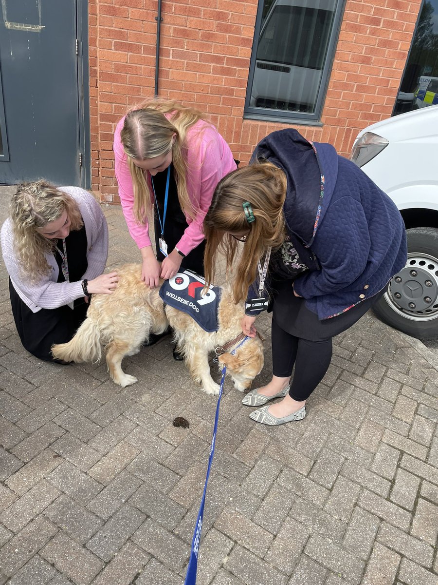 WD_Whispa's tweet photo. WD Whispa has been busy again today bring smiles to the faces of officers and staff at Athena House York. @ServiceDogsUKPS @CCNYP @OscarKiloNine @NYP_York https://t.co/FnNQL35AHl