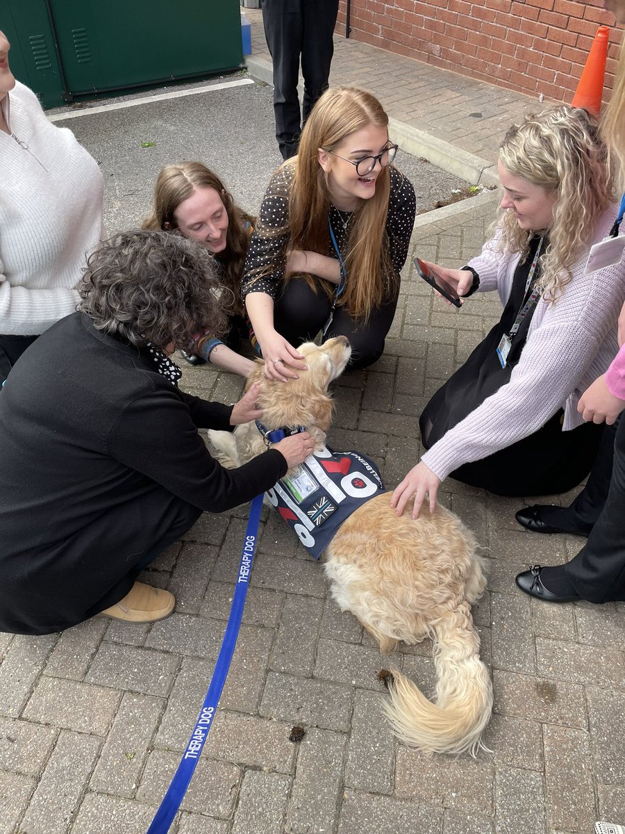 WD_Whispa's tweet photo. WD Whispa has been busy again today bring smiles to the faces of officers and staff at Athena House York. @ServiceDogsUKPS @CCNYP @OscarKiloNine @NYP_York https://t.co/FnNQL35AHl