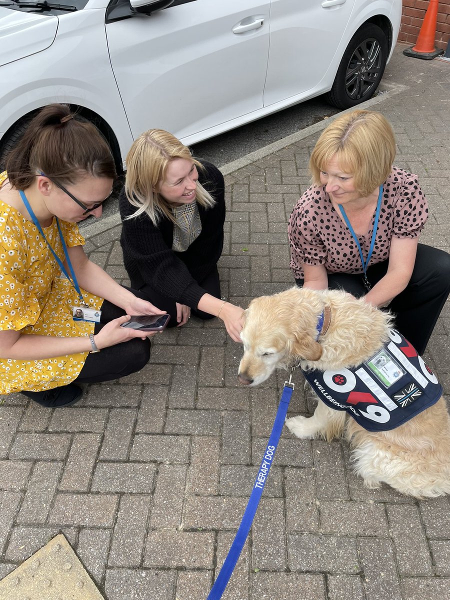 WD_Whispa's tweet photo. WD Whispa has been busy again today bring smiles to the faces of officers and staff at Athena House York. @ServiceDogsUKPS @CCNYP @OscarKiloNine @NYP_York https://t.co/FnNQL35AHl