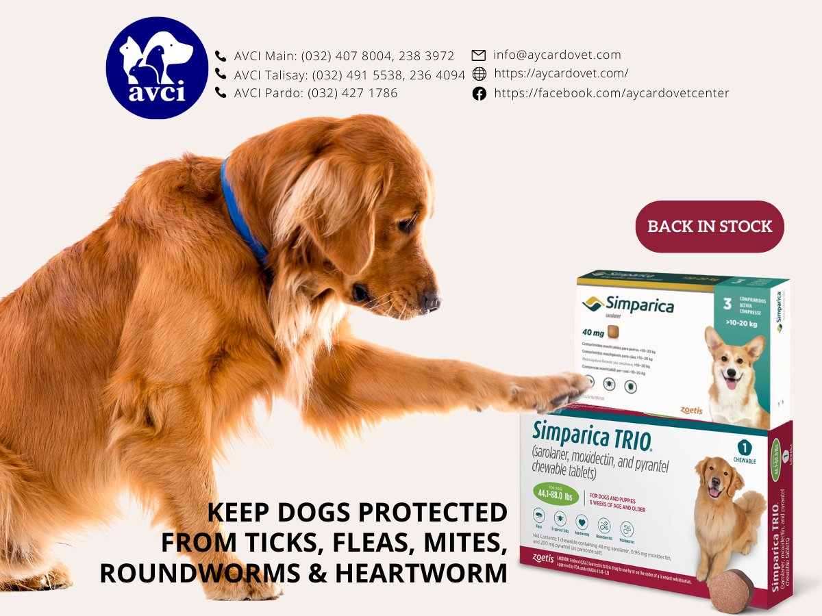 avcivet's tweet photo. Just restocked. Get yours now at: 
https://t.co/L3yp6Tc0FB

#simparica #tickandflea #parasites #mange #scabies #heartworm #dewormer #hookworm #roundworm https://t.co/CHz0NRgZEa
