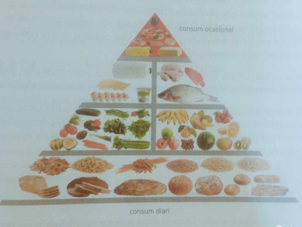 Me acaba de llegar un libro al departamento de EF, para que lo usemos el año que viene con los alumnos de ESO y Bachillerato...

Lo abro y la primera página que veo es... La pirámide nutricional que se recomienda.

Y todavía estamos así... 🧐