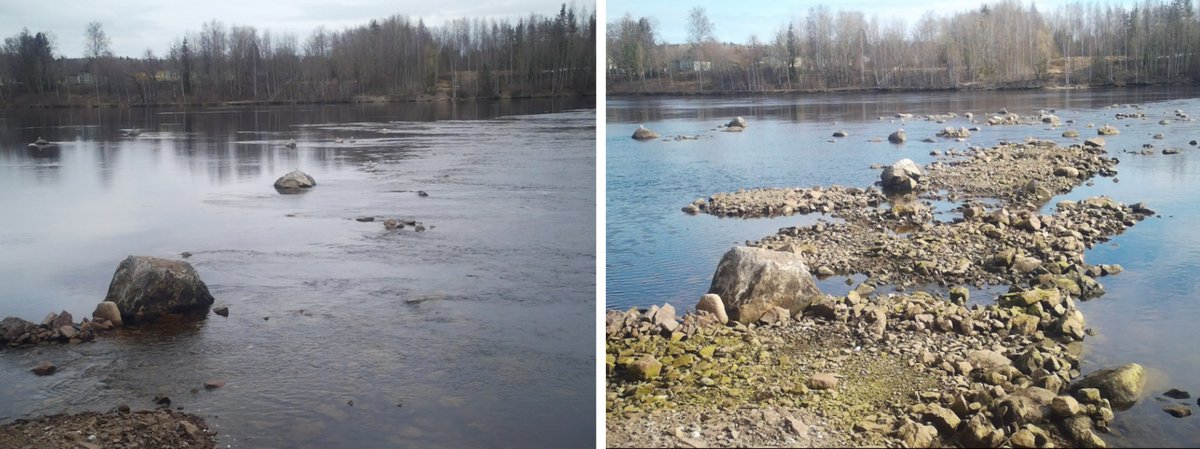 RiverGo3's tweet photo. Tänä vuonna 50v  FINRUS valtiosopimuksesta #Imatra`n ja Svetogorskin välisen jokiosuuden säännöstelystä Vuoksella. Voimayhtiölle @Fortum hyöty, maanomistajille sortuvat rannat, lohikaloille kuivuvat kutusoraikot. Valtiolle korvausvastuu vahingoista #hyvädiili? https://t.co/aLZjPs2otx