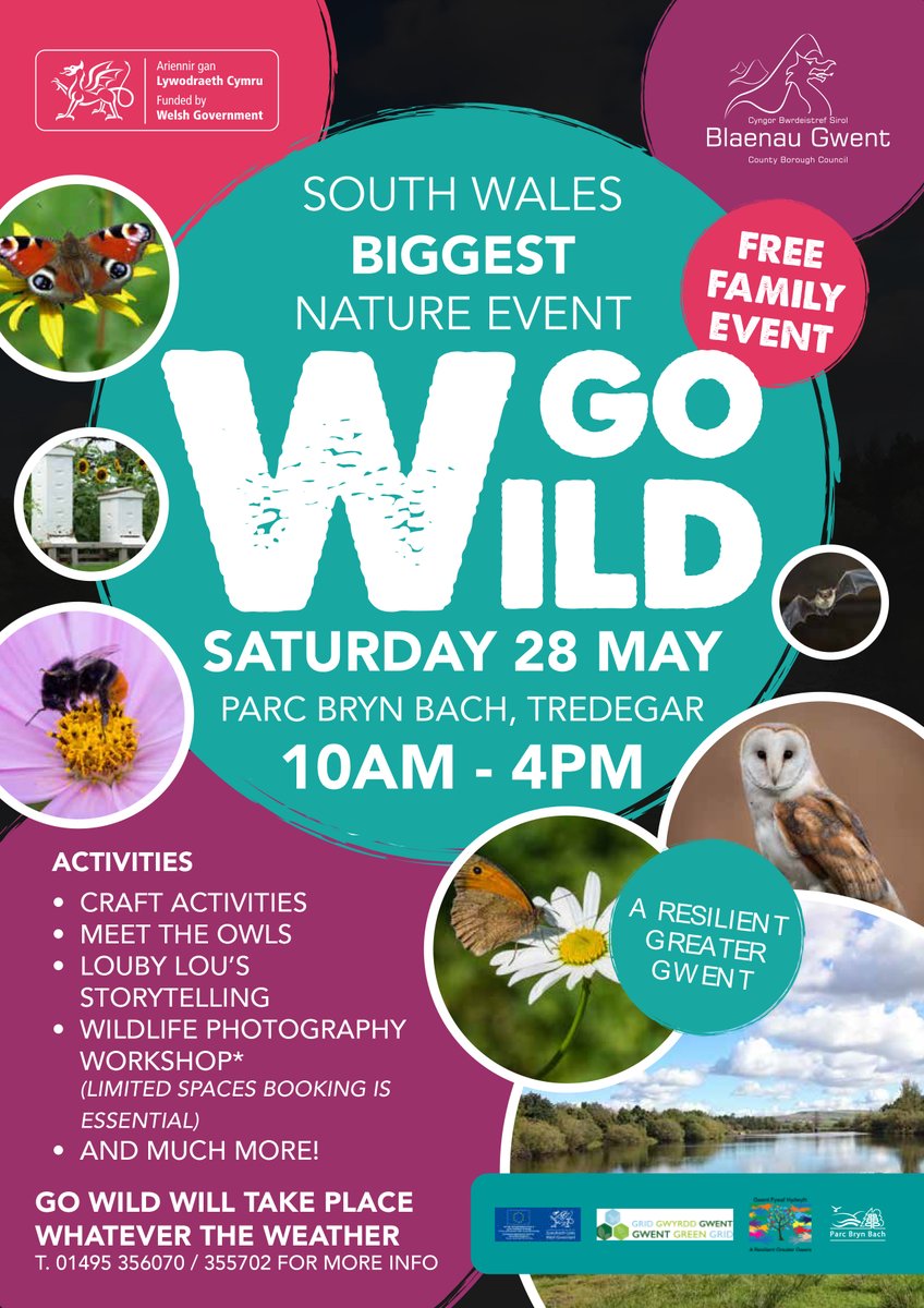 BlaenauGwentCBC's tweet photo. Go Wild returns to Parc Bryn Bach, Tredegar, on Saturday 28th May 2022 from 10am until 4pm.

👉 https://t.co/SS2iKQqr37

#GoWild2022 #ResilientGreaterGwent https://t.co/6gu4BLpcs6