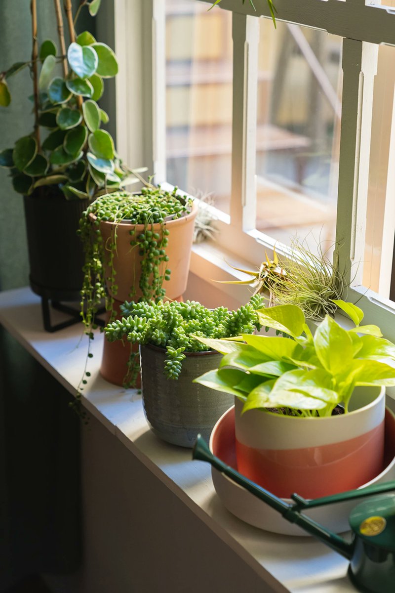 Domestika tweet media