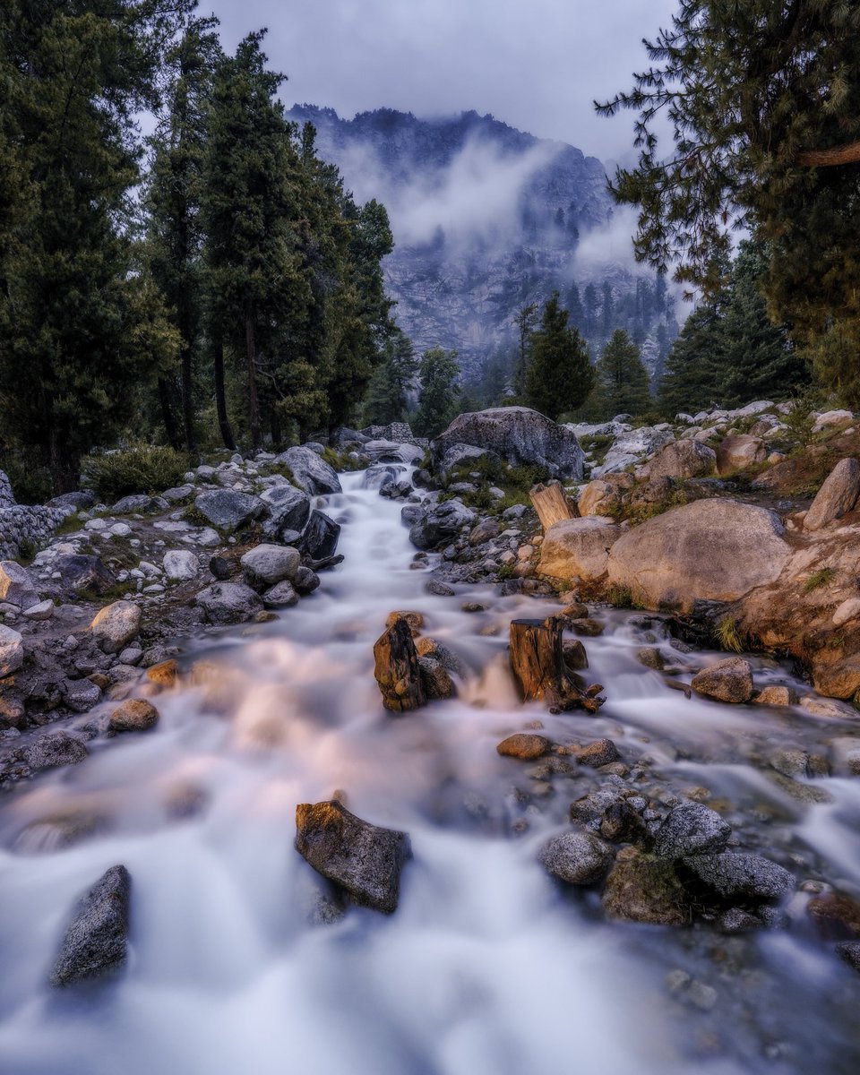 GM/GE friends 🌻
#NFTCommumity #NFTartists #nftphotographer #NFTs