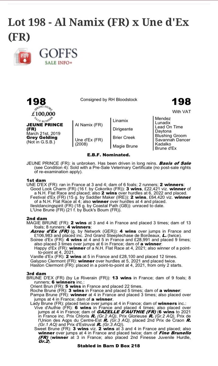 RHBloodstock's tweet photo. The only Al Namix gelding in the sale @GoffsUK next week has all the qualities of being Top Class on the racecourse. His half brother is @Goffs1866 Land Rover bumper winner with @gelliott_racing and his half sister already a winner of 3 with @AJHoneyball 🐎💪 https://t.co/PnIH7YbYgi