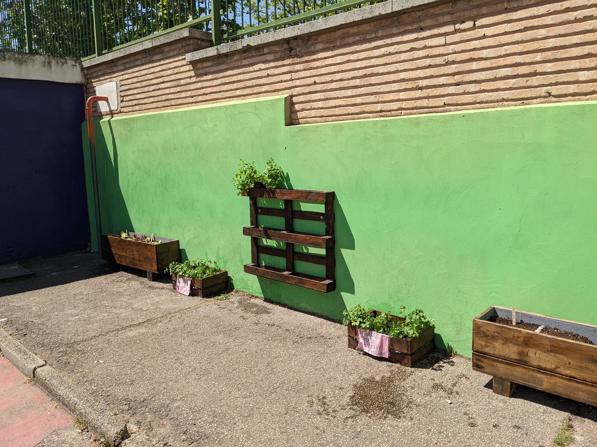 Comienza el huerto en el Beltrán <a href="/abmzaragoza/">CEIP Antonio Beltrán Martínez</a> #renaturalizandoespacios <a href="/cpmariadeavila/">CP María de Ávila</a>