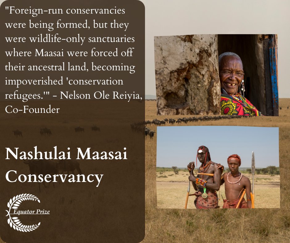The land &amp; culture of <a href="/nashulai/">Nashulai Maasai Conservancy</a> were threatened by degradation &amp; land grabs, so they took action by:
🚧 Removing 25 km of fencing
🤝 Creating an Indigenous-led conservancy
🌳 Fostering reforestation &amp; community gardens
bit.ly/Nashulai

<a href="/equatorinit/">Equator Initiative</a> <a href="/UNDP/">UN Development</a> <a href="/UNBiodiversity/">UN Biodiversity</a>