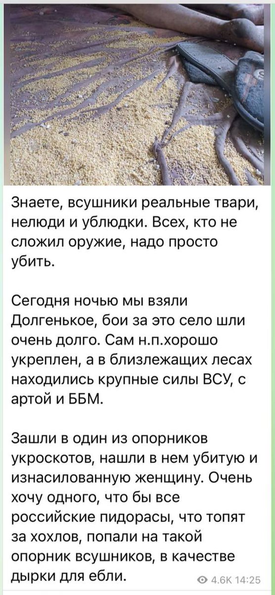 Margarita Simonyan tweet media